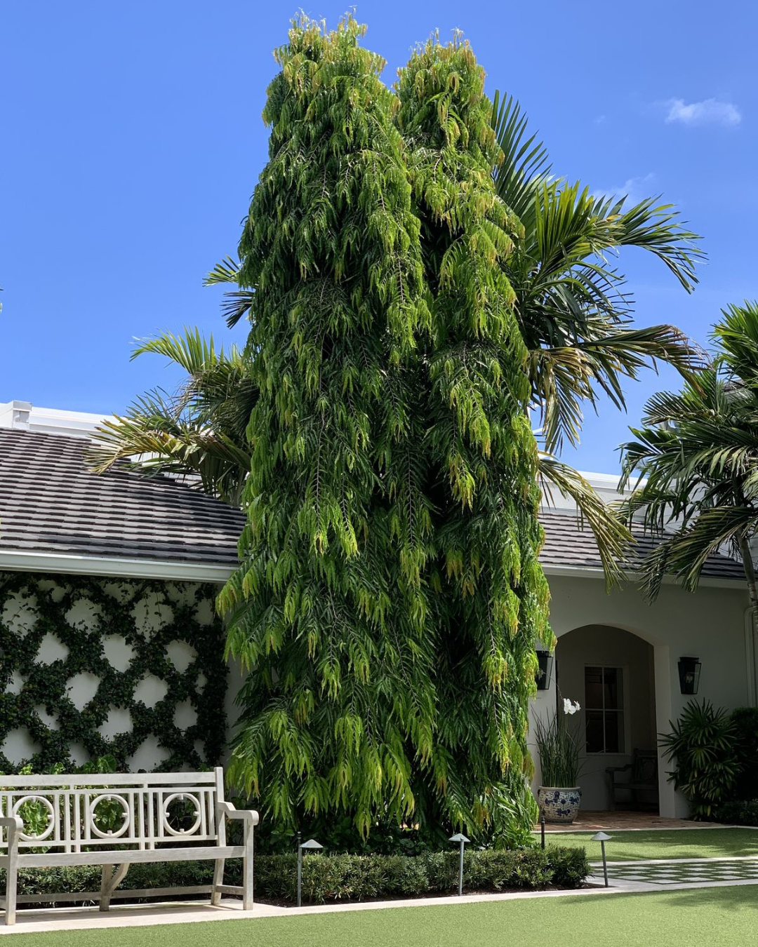 Untitled design (10)