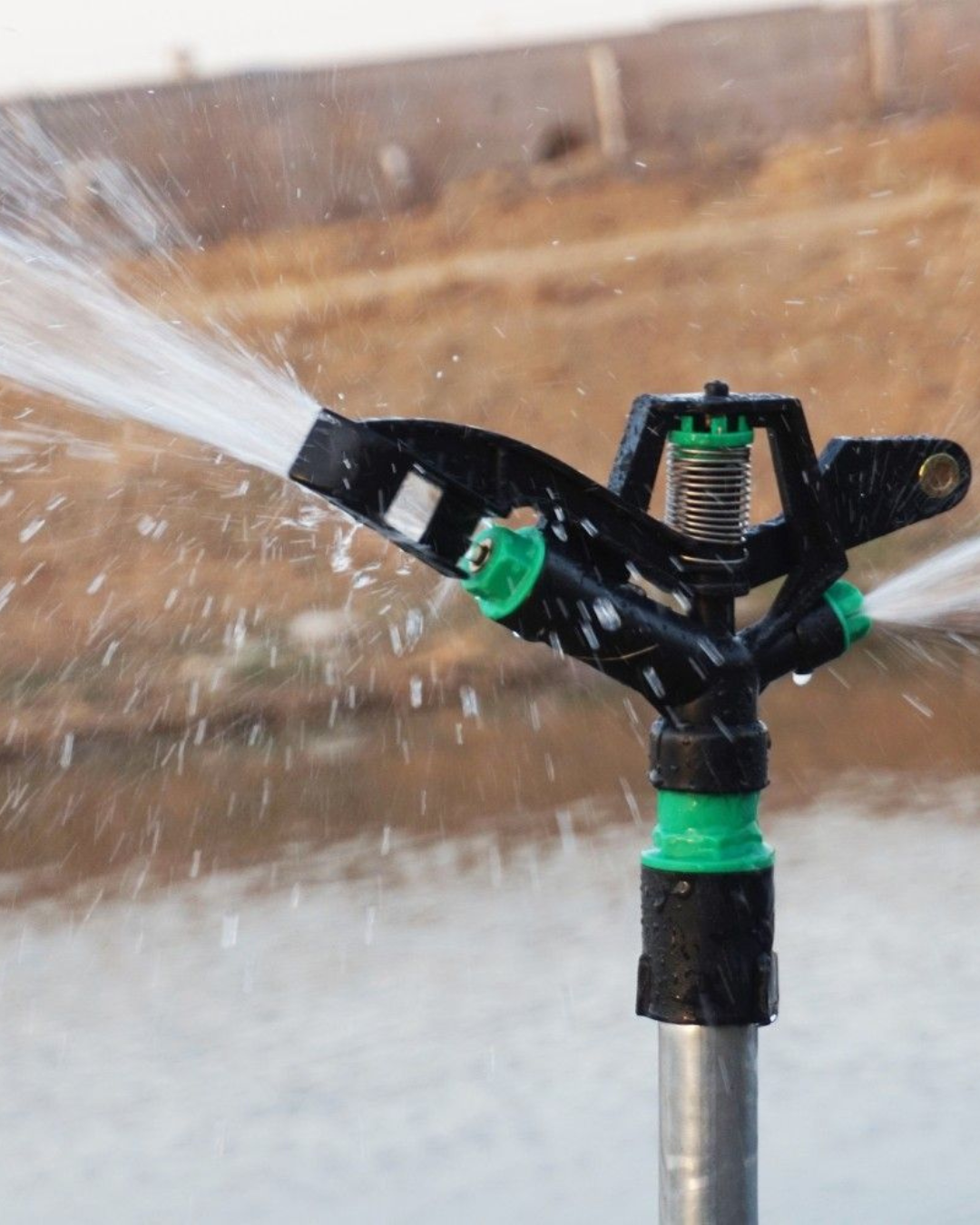 Untitled design (36)