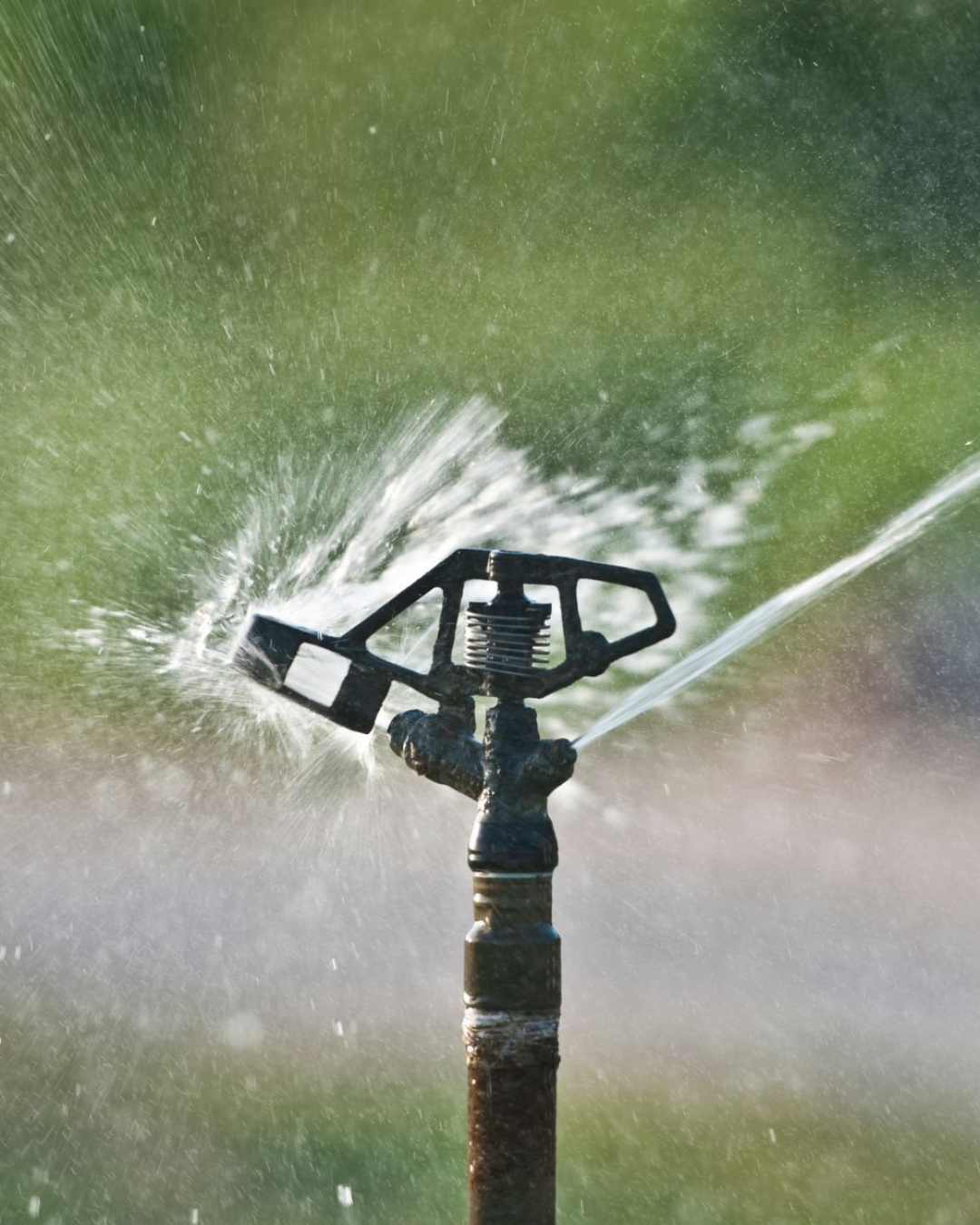 Untitled design (38)