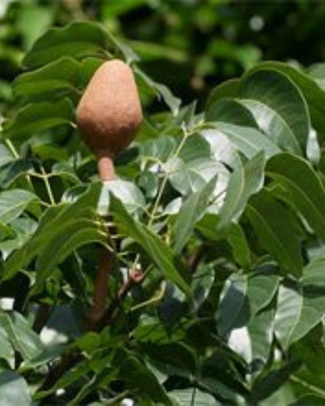 Untitled design (45)