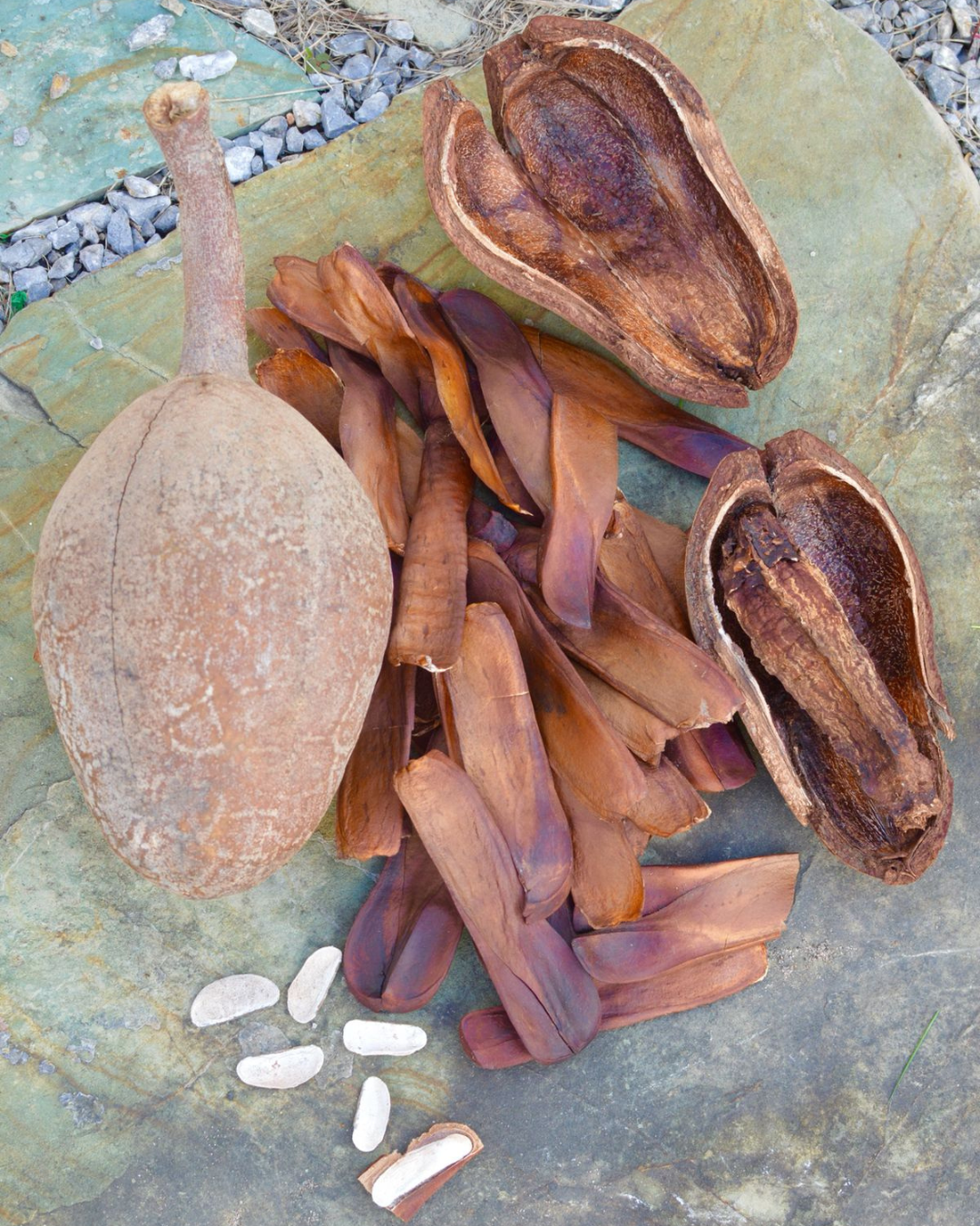 Untitled design (46)