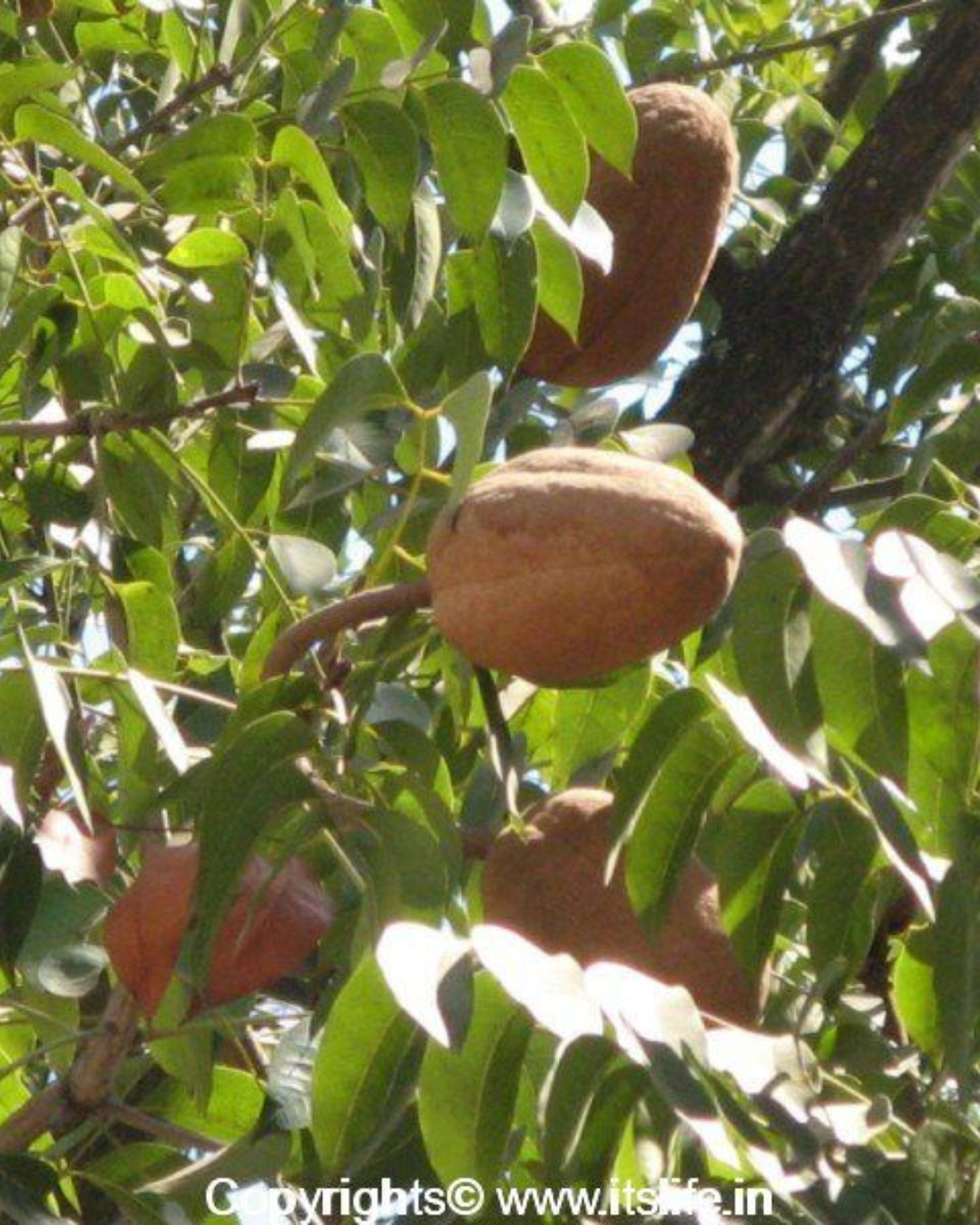 Untitled design (47)