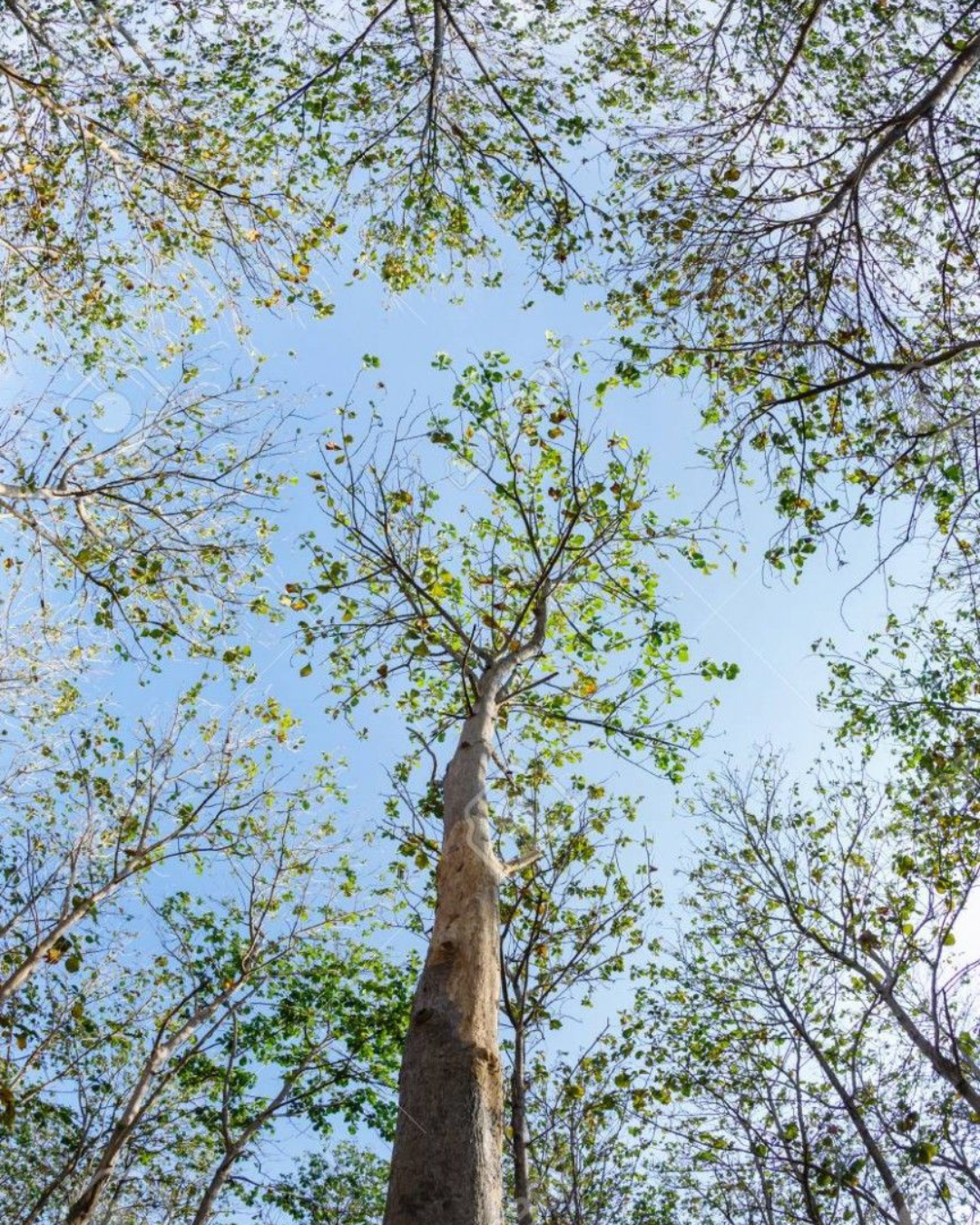 Untitled design (48)