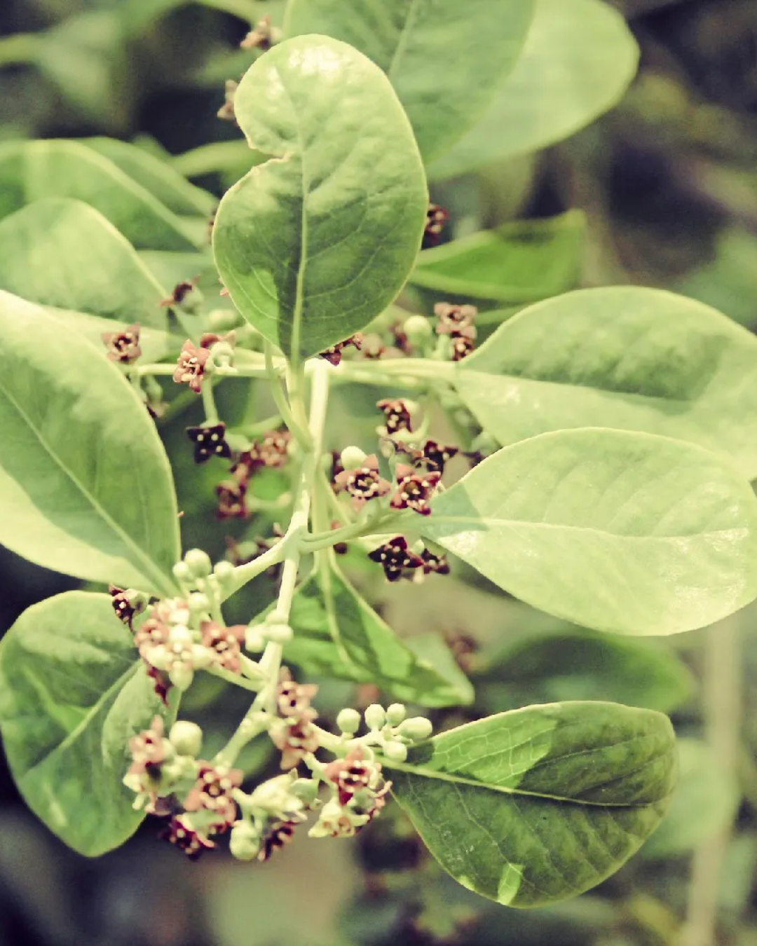 Untitled design (62)