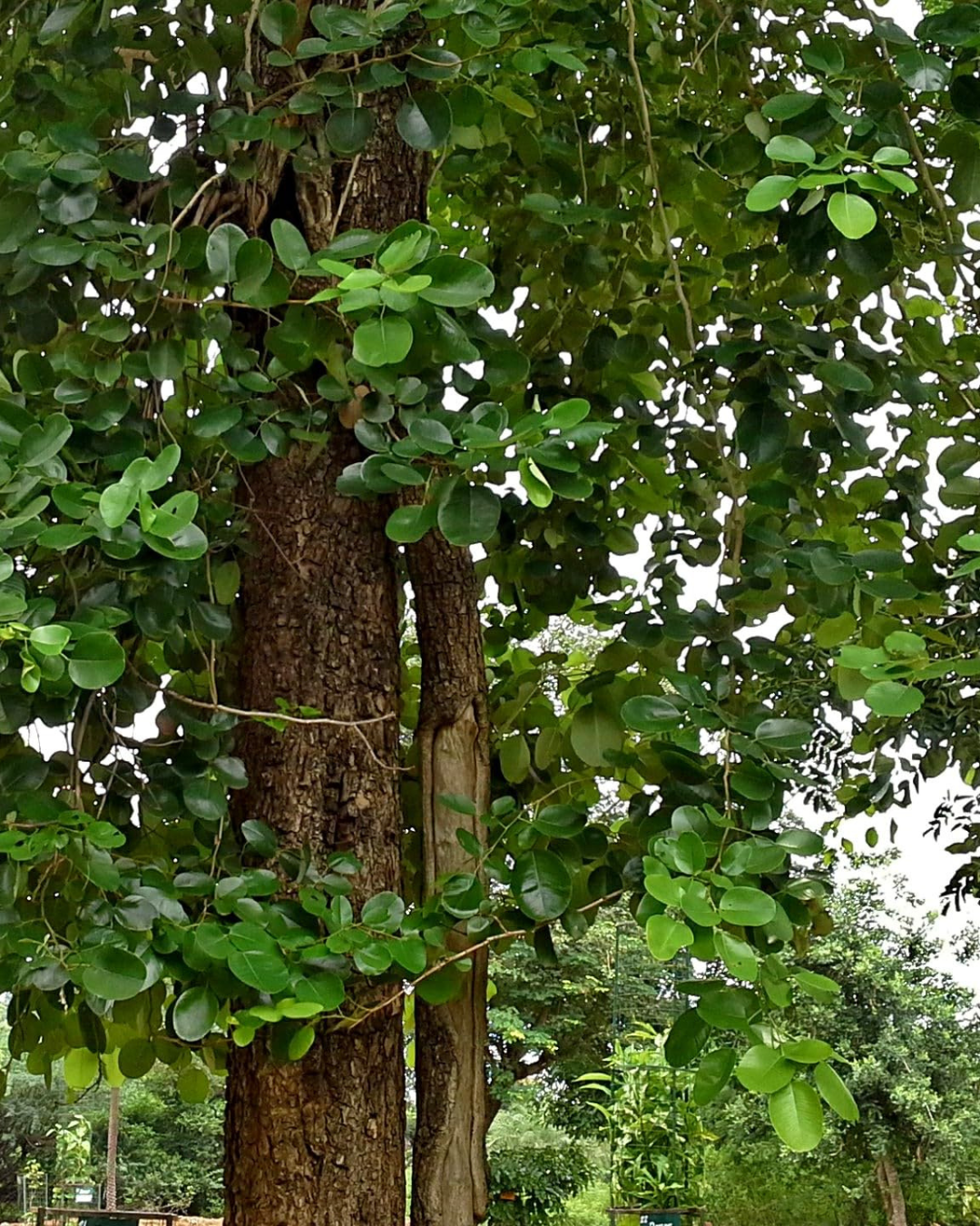 Untitled design (63)