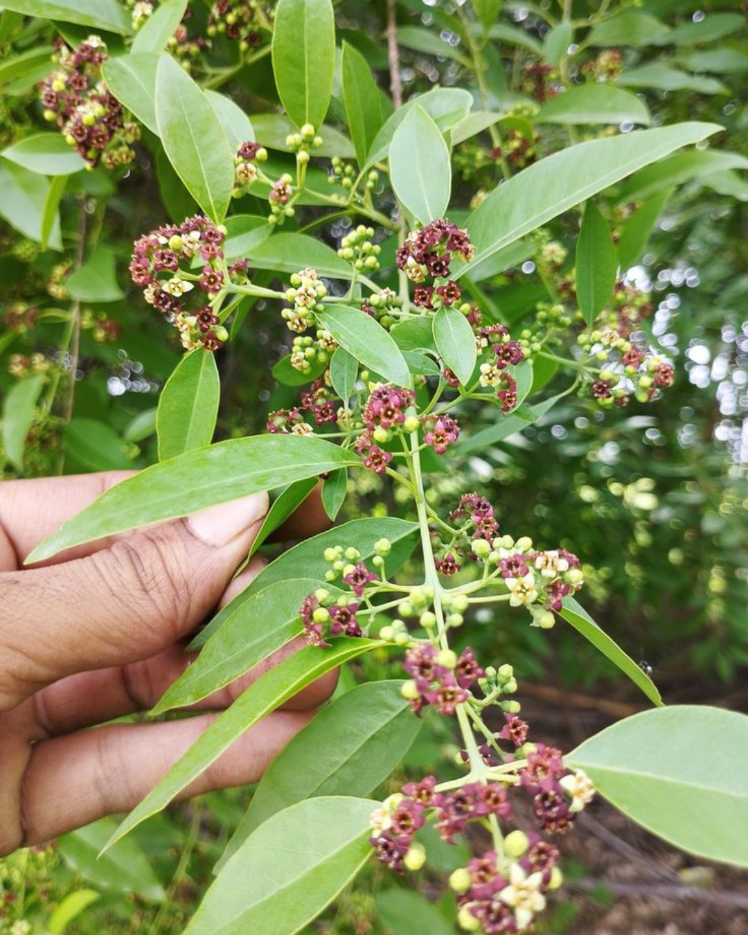 Untitled design (67)